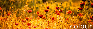 Click here to visit our colour fine art galleries