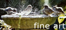 Click here to visit our fineart galleries