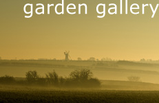 View our garden gallery and studio