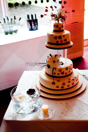 Wedding Photography159