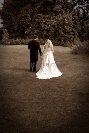 Wedding Photography181