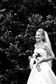 Wedding Photography119